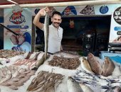 مملكة الفسفور.. سوق السمك فى بورسعيد أيقونة المأكولات البحرية