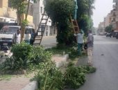 استكمال زراعة وصيانة المسطحات الخضراء وقص وتقليم 88 شجرة بمدينة الأقصر.. صور