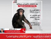 الصحة العالمية تحذر من جدرى القرود.. أسبابه وطرق العلاج.. فيديو