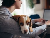 عصفورة ولا كلب أو قطة .. اعرف الحيوان والطائر المناسب لك حسب برجك الفلكى