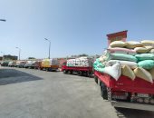 توريد 174949 طن قمح للشون والصوامع بمحافظة البحيرة.. صور