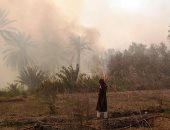 السيطرة على حريق بأرض زراعية بطما فى سوهاج دون خسائر بالأرواح