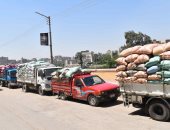 توريد 293 ألف طن من الأقماح بالشون والصوامع الحكومية في المنيا.. صور