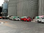 الذهب الأصفر فى صوامع مصر.. توريد وتسليم 800 ألف طن من القمح بمحافظتى المنيا والشرقية.. شون ومطاحن بنى سويف والبحيرة تستقبل 350 ألف طن والحصاد مستمر بالمحافظات.. صور