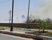 السيطرة على حريق بزراعات قريبة من السكة الحديد بدراو بأسوان دون تعطيل للحركة