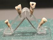 دراسة حديثة تكشف: بقايا أسنان المايا القديمة مفيدة لنظافة الفم