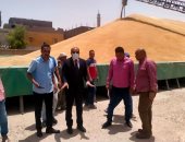 "تموين الأقصر" تعلن توريد 14 ألفا و783 طن قمح من المزارعين للشون والصوامع