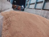 روسيا صدرت 620 ألف طن من القمح عبر موانئ البلاد الأسبوع الماضى