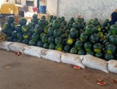 شعبة الخضراوات: الخوخ والبطيخ آمنان وننصح الباعة بعدم التخزين فى الشمس