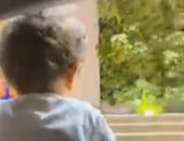 الطفل أيوب "دخل يعمل منظار" في مستشفى بالإسكندرية خرج جثة هامدة.. فيديو