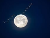 القمر الجديد يحمل مفاجآت للأبراج.. الجوزاء والجدي والميزان الأكثر تأثرًا