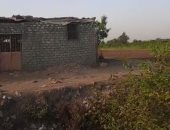 من قتل فلاح العياط؟.. الجاني حطم رأسه بفأس أثناء حراسته حظيرة ماشية (فيديو) 