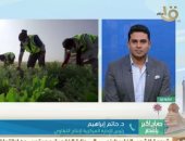 "الزراعة": تجهيز تقاوى القمح للموسم الجديد بمشروع مستقبل مصر