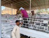 وكيل تموين الأقصر: تحرير 45 محضرا لغير الملتزمين بتوريد القمح حتى الآن