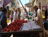 الخيار والبصل بـ3جنيهات والطماطم بـ8 فى سوق الخضروات بالمنيا.. لايف