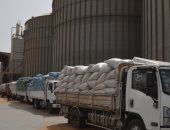 محافظ بني سويف: استلام 193 ألف طن من الأقماح بالصوامع والشون منذ بداية الحصاد