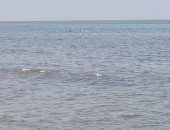 استقرار أمواج شاطئ بورسعيد وإقبال الأهالي على السباحة بالمياه.. فيديو
