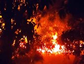 اندلاع حريق بمنطقة تضم محمية طبيعية فى إسبانيا بسبب ارتفاع درجة الحرارة