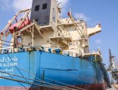 وصول سفينتين محملتين بـ 118 ألف طن قمح لميناء دمياط.. صور