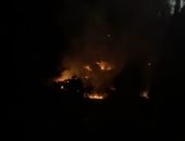 اندلاع حريق فى حديقة أنطونيادس بالإسكندرية والحماية المدنية تتدخل
