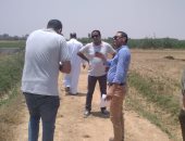 تغريم المزارعين بالإسكندرية 358 ألف جنيه غرامة عدم توريد القمح الى الصوامع