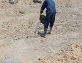 زراعة الإسكندرية: رش 11 قطعة أرض بحي وسط بالمبيدات لمكافحة النمل الأبيض