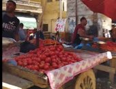 الطماطم بـ 8 جنيهات والبطاطس بـ 4..  جولة فى سوق الخضروات بالمنيا