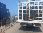 ضبط سيارة استولت على حصة تموينية من أسطوانات البوتاجاز ببورسعيد