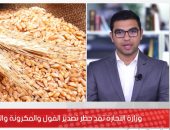 وزارة التجارة تمد حظر تصدير الفول والمكرونة والدقيق والذرة 3 أشهر.. فيديو