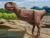 توثيق حفرية ديناصور مفترس عاش قبل 98 مليون عام بالواحات البحرية
