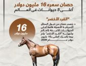 القرد الأخضر سعره 16 مليون دولار..  أغلى 5 حيوانات فى العالم.. إنفوجراف