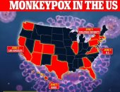 خبراء الصحة: مخاوف من توطن جدرى القرود بأمريكا بعد تزايد أعداد الإصابة