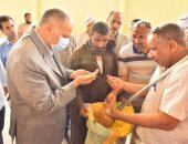 توريد 161 ألف طن قمح بالصوامع والشون فى أسيوط