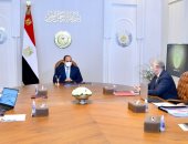 الرئيس السيسي يوجه بتوفير كافة الإمكانات لتعزيز منظومة تنمية الثروة السمكية