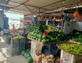 أسواق المنوفية..الفراخ البيضاء بـ43 جنيها والسمك البلطى 35 والطماطم 5 (فيديو)