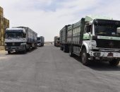 محافظ مطروح: تحقيق المستهدف من توريد القمح بالمحافظة بنسبة 100%