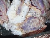 ضبط 25 كيلو دجاج غير صالح للاستهلاك خلال حملة تموينية بالغربية 