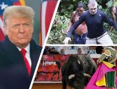 باختصار..أهم الأخبار العربية والعالمية حتى الظهيرة..العثور على جثة مراسل الجارديان وصحفى آخر بالأمازون..حظر مصارعة الثيران فى ساحة المكسيك الأكبر بالعالم.. نجيب ميقاتى: لبنان لن يتخلى عن حقه فى التنقيب عن الغاز