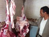 الطب البيطرى يضبط لحوم ودواجن وأسماك فاسدة فى أسوان