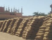 استلام 226 ألف طن قمح بصوامع وشون بنى سويف