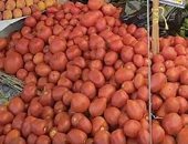 تموين شمال سيناء تعلن الأسعار الاسترشادية للخضراوات والفواكه