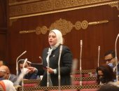 "طاقة الشيوخ" توافق على مقترح نائبة التنسيقية بإنشاء مرصد التكيف والمرونة الأفريقى