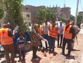 محافظ أسيوط: تنفيذ حملة تشجير وزراعة 1000 شجرة مثمرة بمركز القوصية