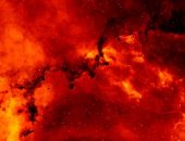 430 مليون عام.. علماء يكتشفون أقدم حرائق الغابات على الأرض