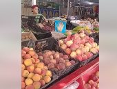 أسعار مخفضة فى معارض عيد الأضحى.. الطماطم بـ5 جنيهات والتفاح البلدى بـ10