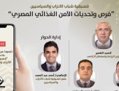 "التنسيقية" تعقد صالونا حول فرص وتحديات الأمن الغذائى المصرى    