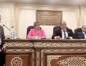 رشا كليب نائبة "التنسيقية" تناقش "أزمة حاجزي سيارات تويوتا إيجيبت" أمام "اقتصادية النواب"