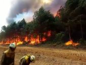 صحيفة: زامورا أكبر حريق فى إسبانيا منذ 10 سنوات يتسبب فى أضرار كبيرة للحيوانات