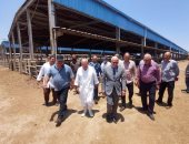  محافظ بورسعيد يتفقد محطة تسمين الماشية استعداداً لاستقبال عيد الأضحى.. صور