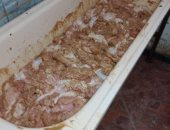 ضبط 1270 كيلو لحوم ودواجن فاسدة داخل مطعم بالمنوفية